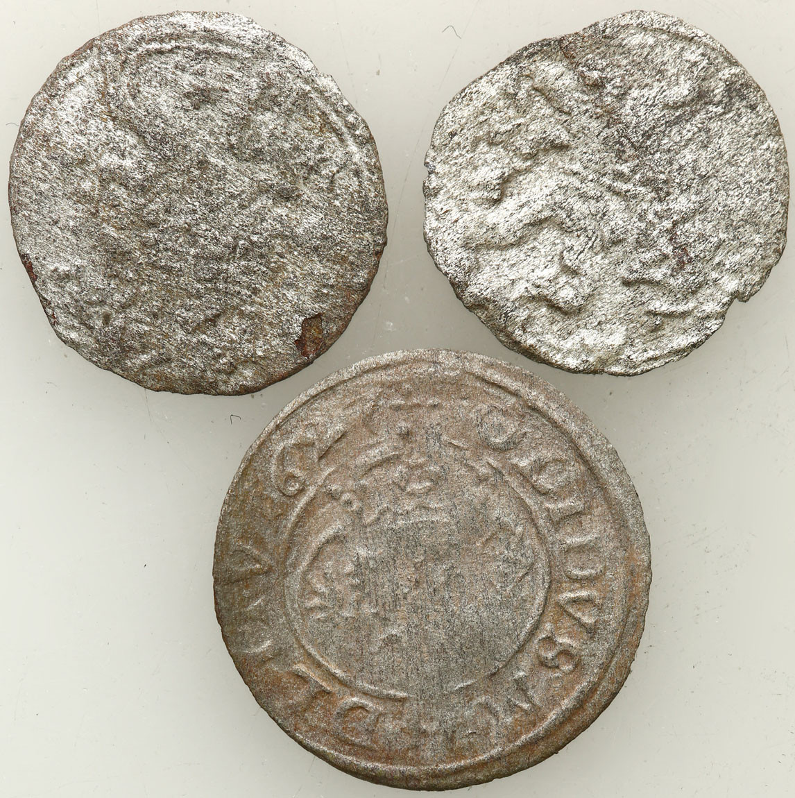 Zygmunt III Waza. Dwudenar 1621 x 2, szeląg 1627, Wilno, zestaw 3 monet